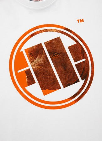 KOSZULKA PIT BULL ORANGE DOG BIAŁA