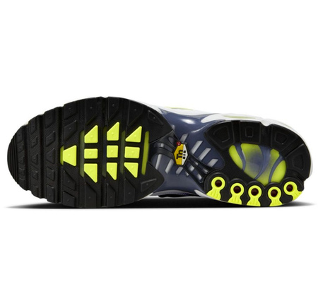 Buty Nike Air Max Plus (HV6227-001)