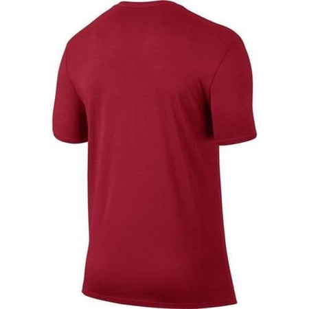 T-shirt Air Jordan Iconic Jumpman Logo (834473-687)