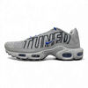 Buty Nike Air Max Plus (IH4459-025)