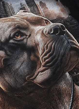 T-shirt Pit Bull HERO czarna