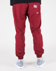 SPODNIE Newbadline CHINO JOGGER ICON BRICK