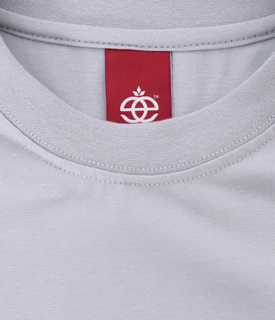 T-shirt Elade box logo 3D Grey