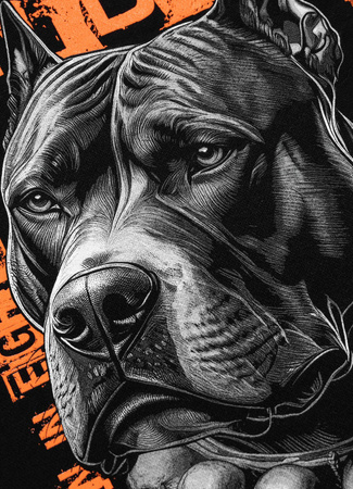 Bluza PIT BULL BLACKY