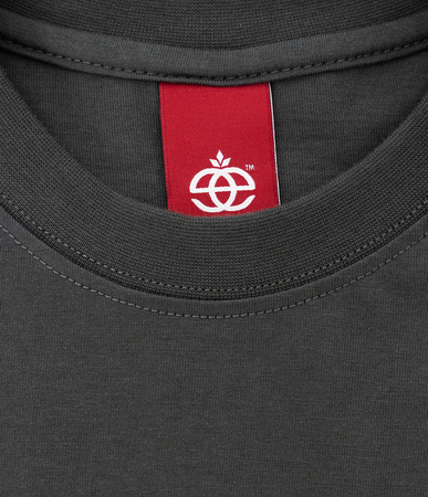 T-shirt Elade box logo 3D Grey