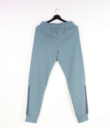 Dresy Champion Rib Cuff Pants Gray