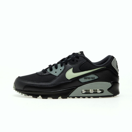 Buty Nike Air Max 90 GTX FD5810-001