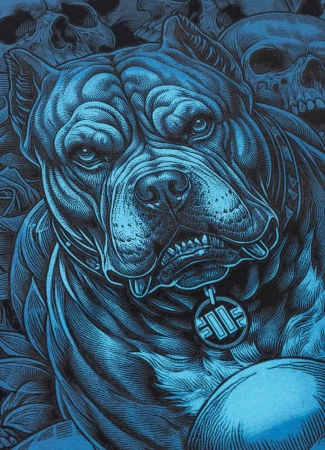 KOSZULKA PIT BULL GUARDIAN ANGEL