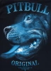 KOSZULKA PIT BULL MIDNIGHT