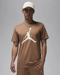 T-shirt Air Jordan Iconic Jumpman Logo CJ0921-231