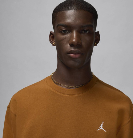 Bluza Jordan Brooklyn Fleece FV7293-228