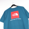 Koszulka The North Face Red Box 