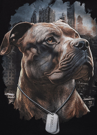 T-shirt Pit Bull HERO czarna