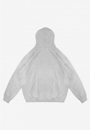 Bluza Prosto Hoodie Big Log Gray