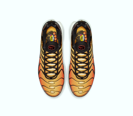 Buty Nike Air Max Plus (HF0552-001)