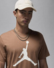 T-shirt Air Jordan Iconic Jumpman Logo CJ0921-231