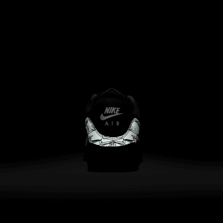 Buty Nike Air Max 90 DZ4504-300