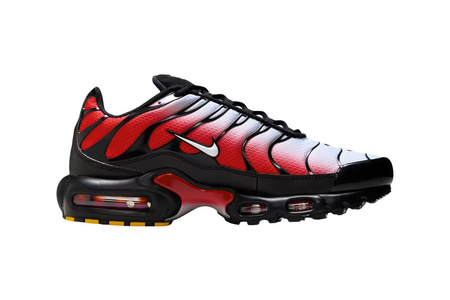 Buty Nike Air Max Plus (IDM0032-017)