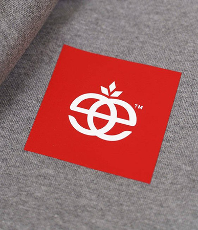 Bluza Elade HOODIE BOX LOGO GREY