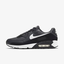Buty NIKE AIR MAX 90 (CN8490-002)